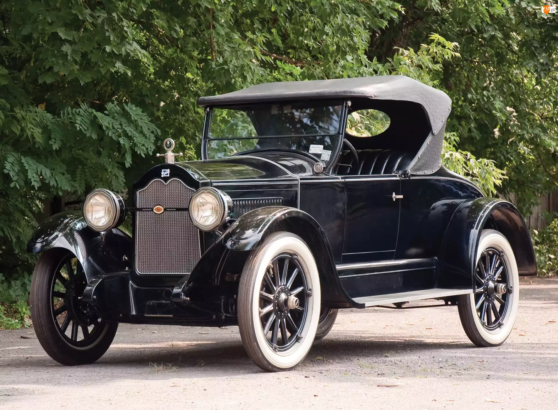 1924 Rok, Buick