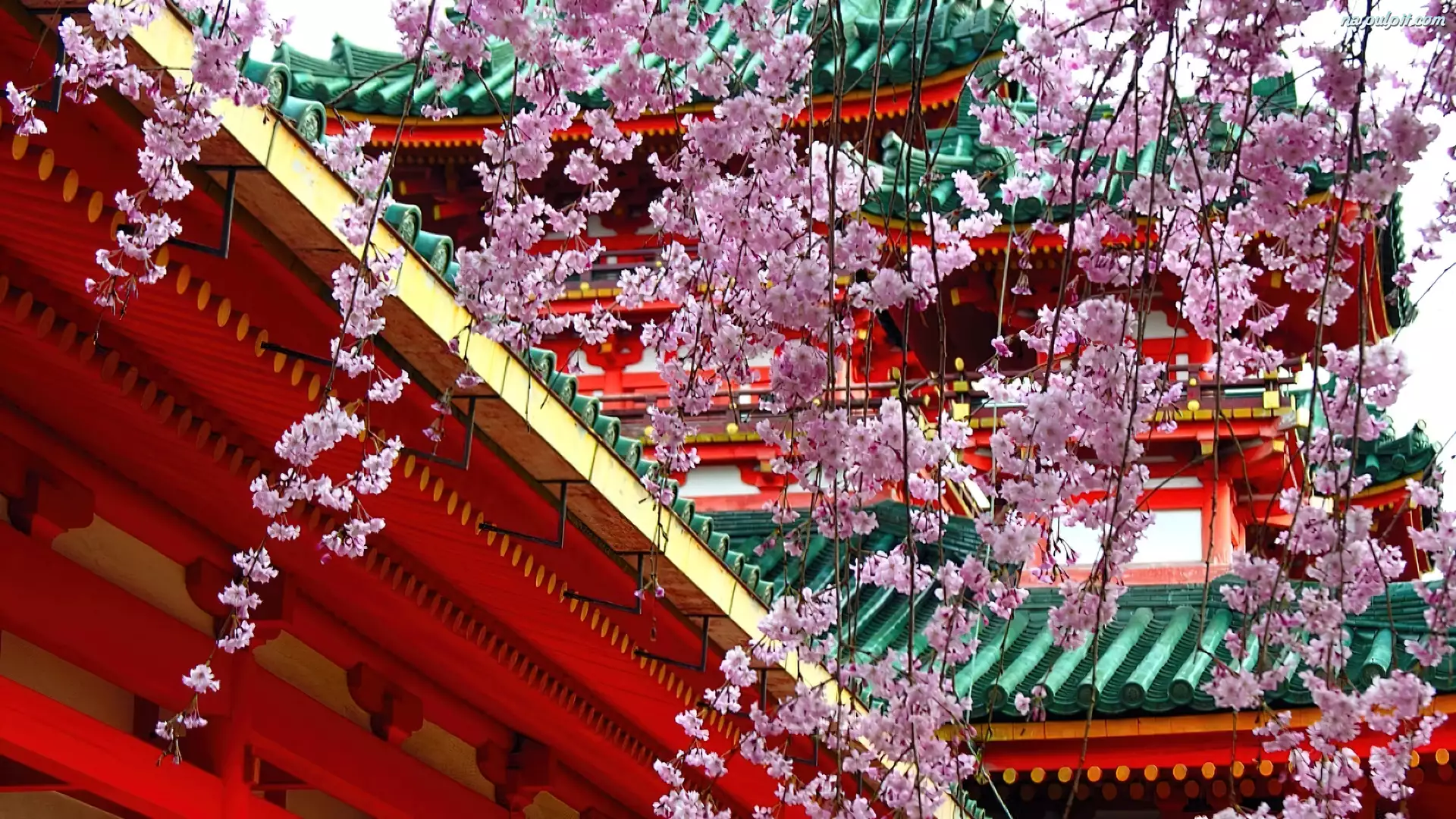 Kwiaty, Japonia, Wiśni, Świątynia