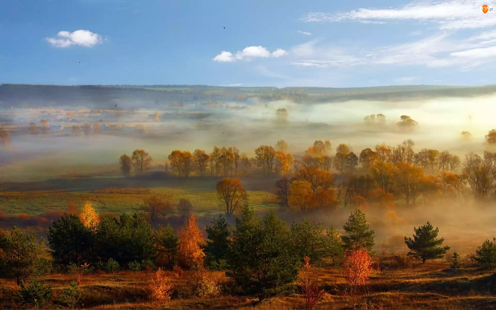 Jesień, Pola, Mgła, Drzewa, Panorama