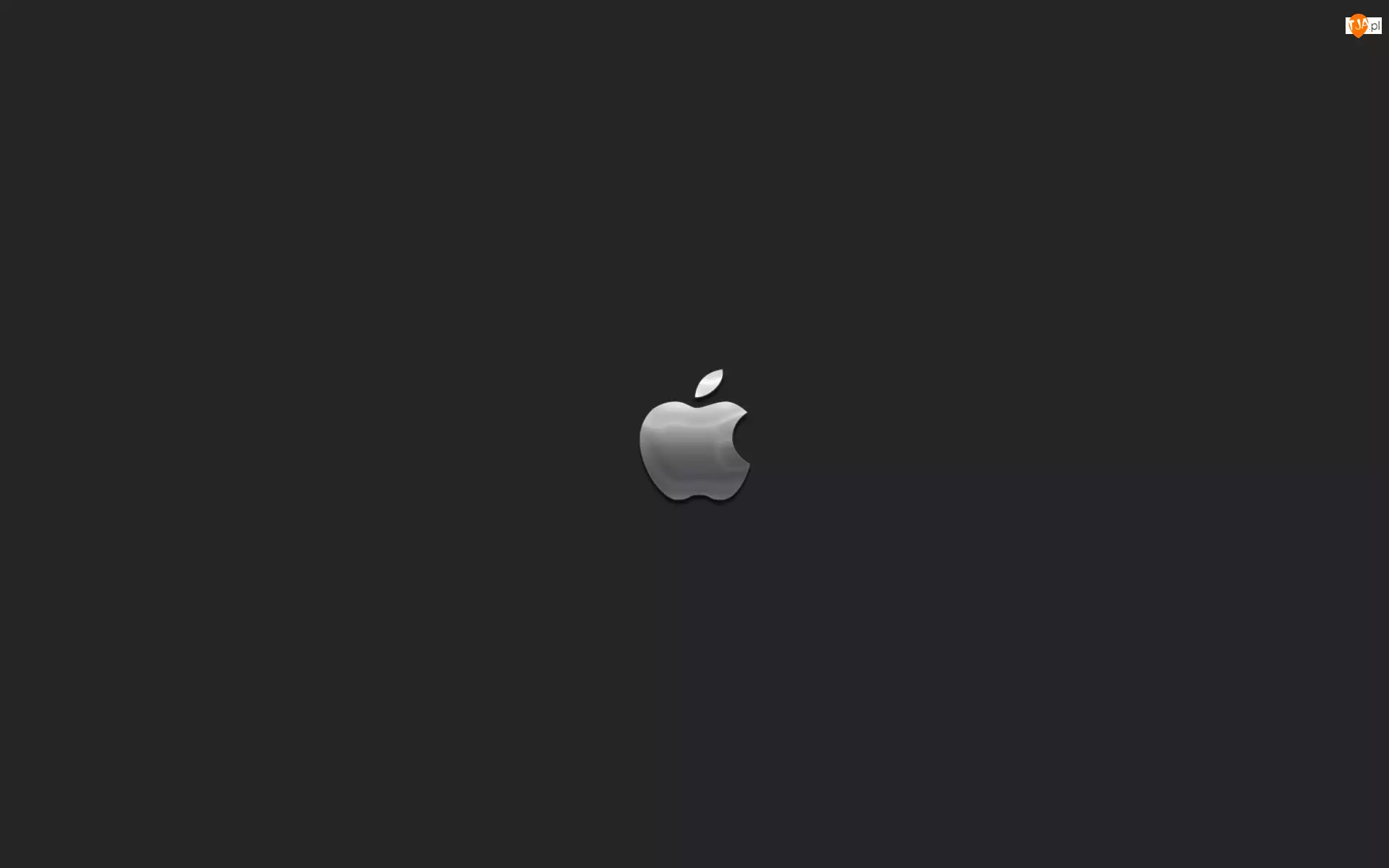 Logo, Apple, Stalowoszare