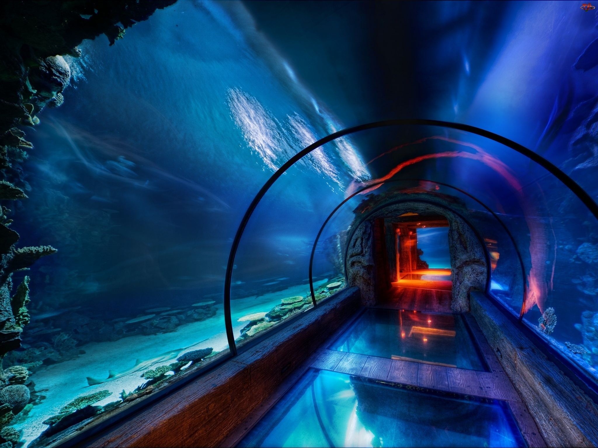 Oceanarium, Podwodny, Tunel