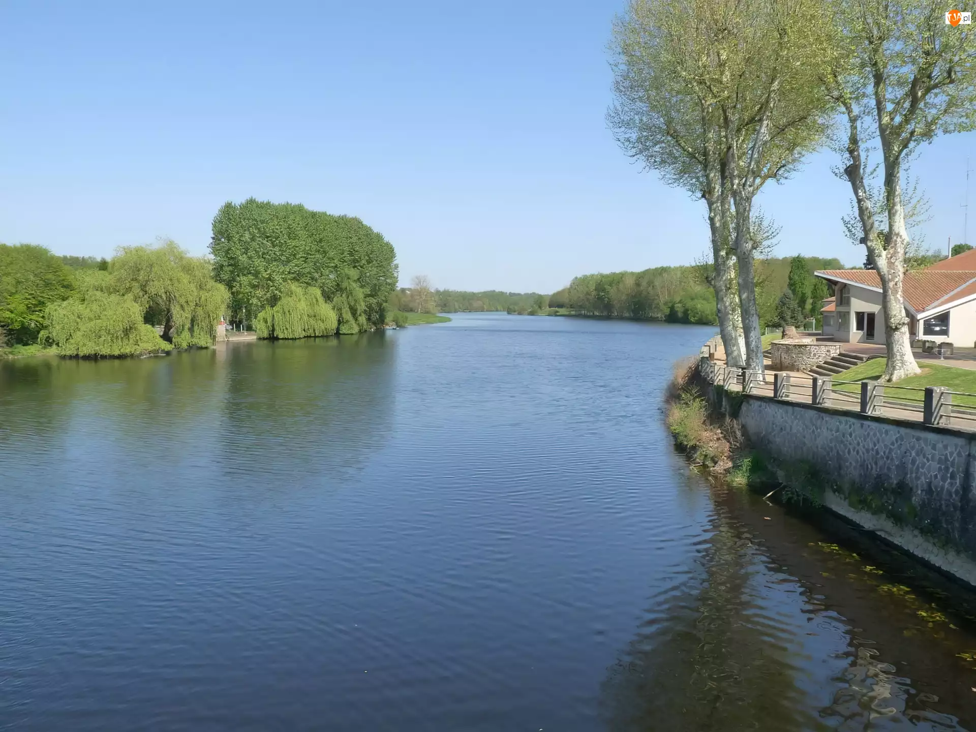Francja, Rzeka, Drzewa, Vienne