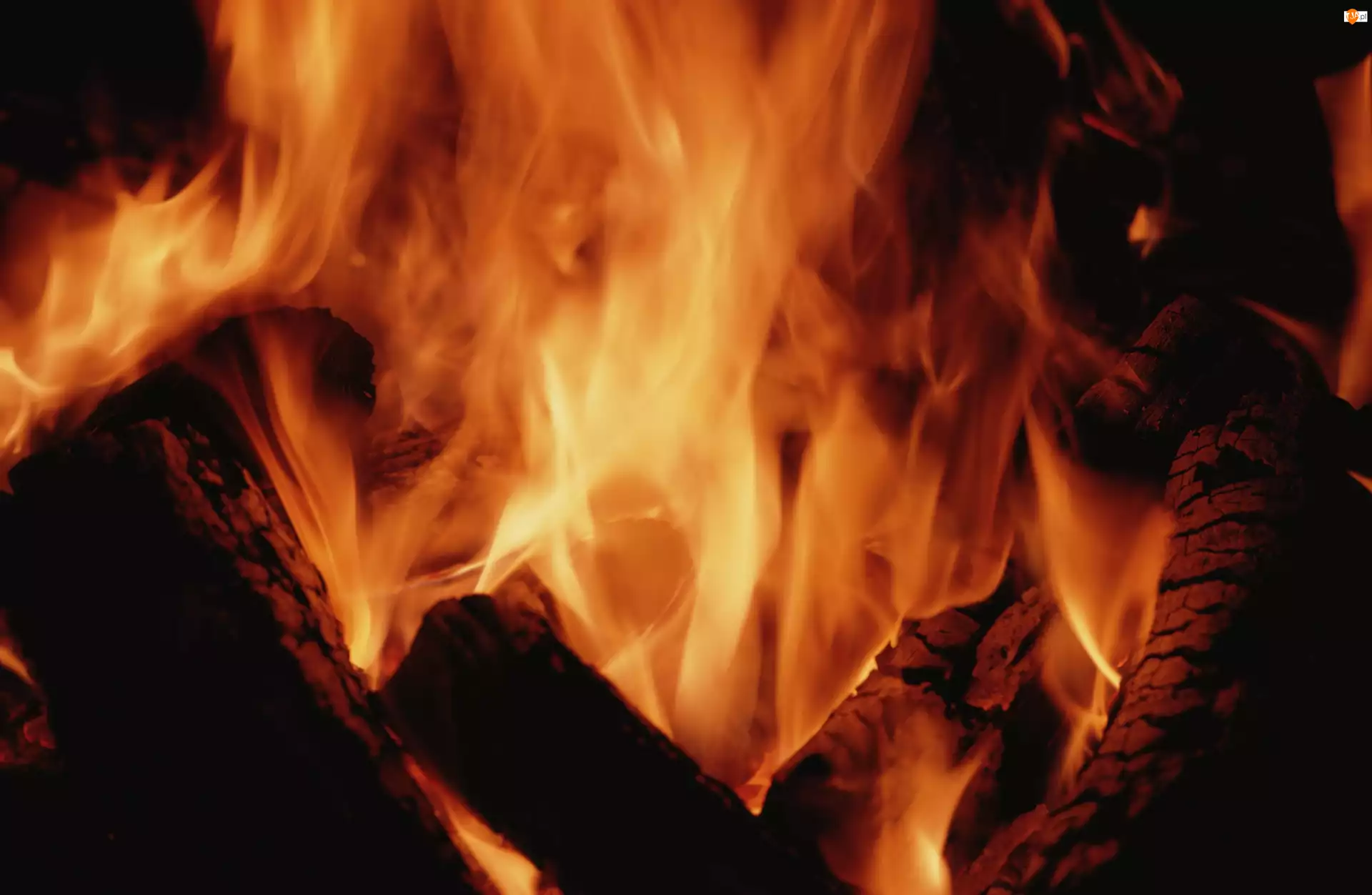 Płomienie, Drewna, Ogień, Spalanie