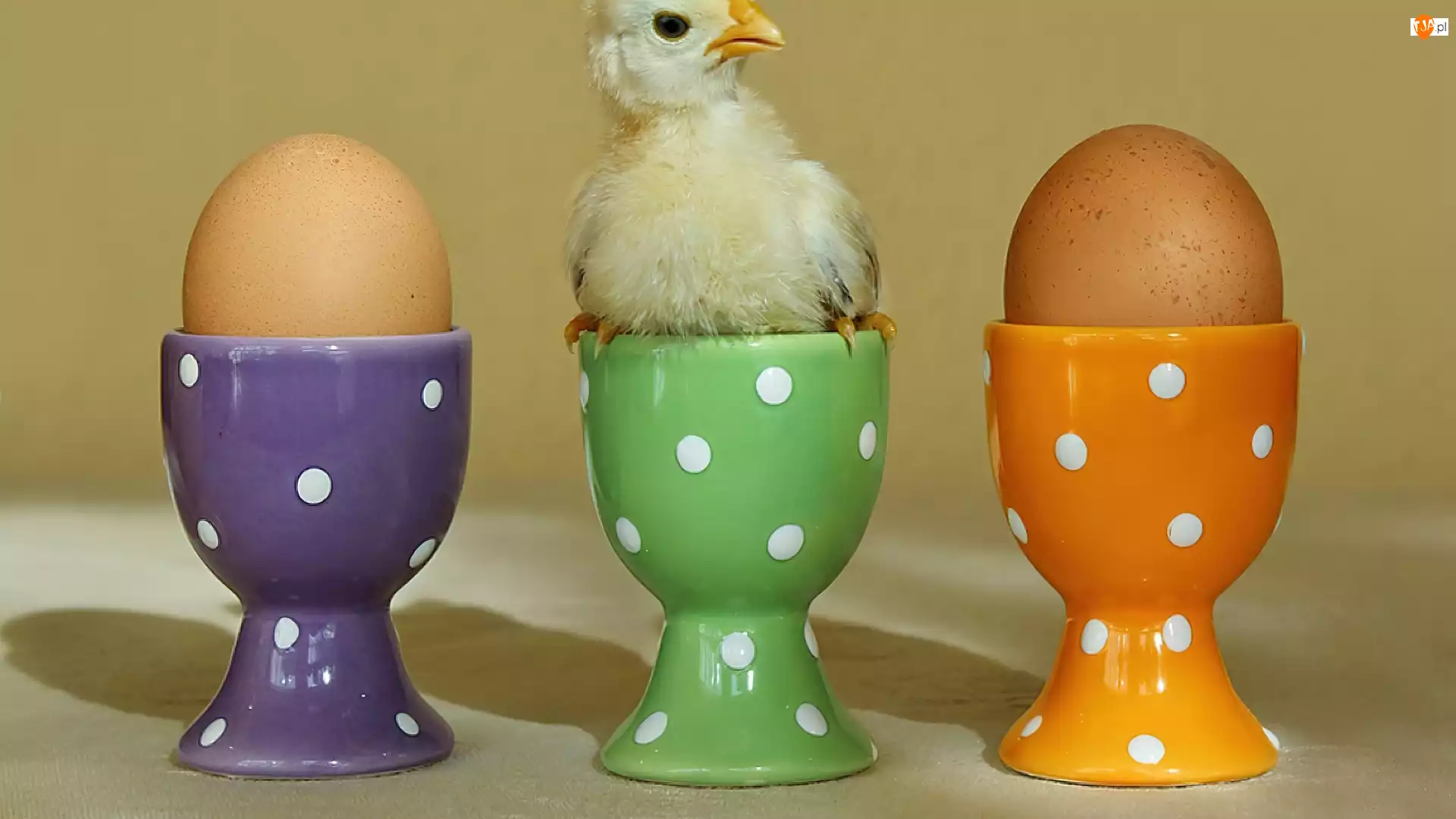 Kurczaczek, Jajka