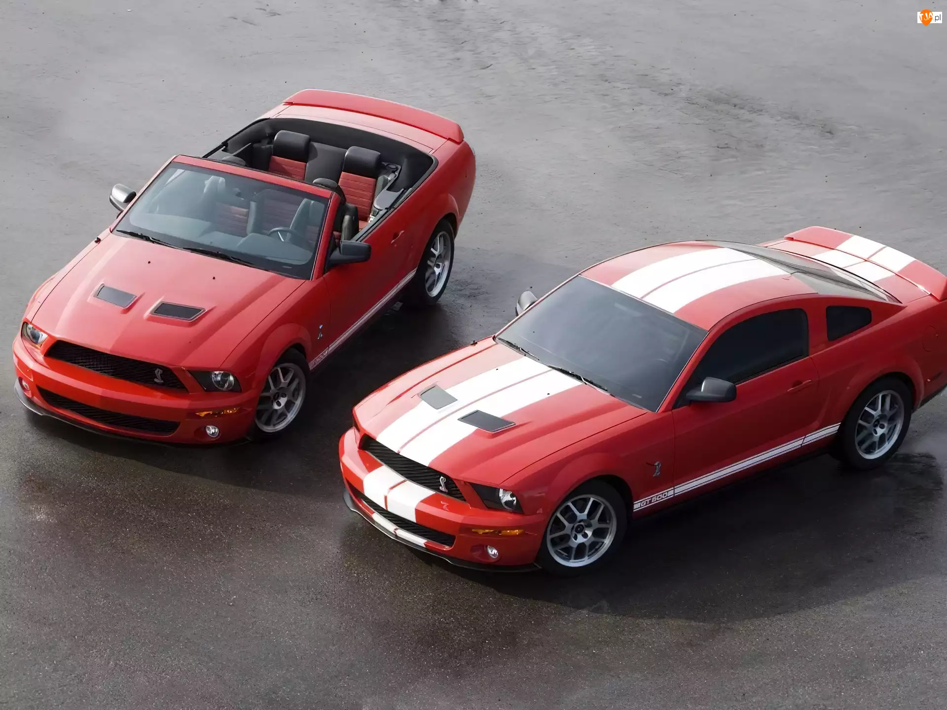 Cabrio, Mustang Shelby, Ford Mustang