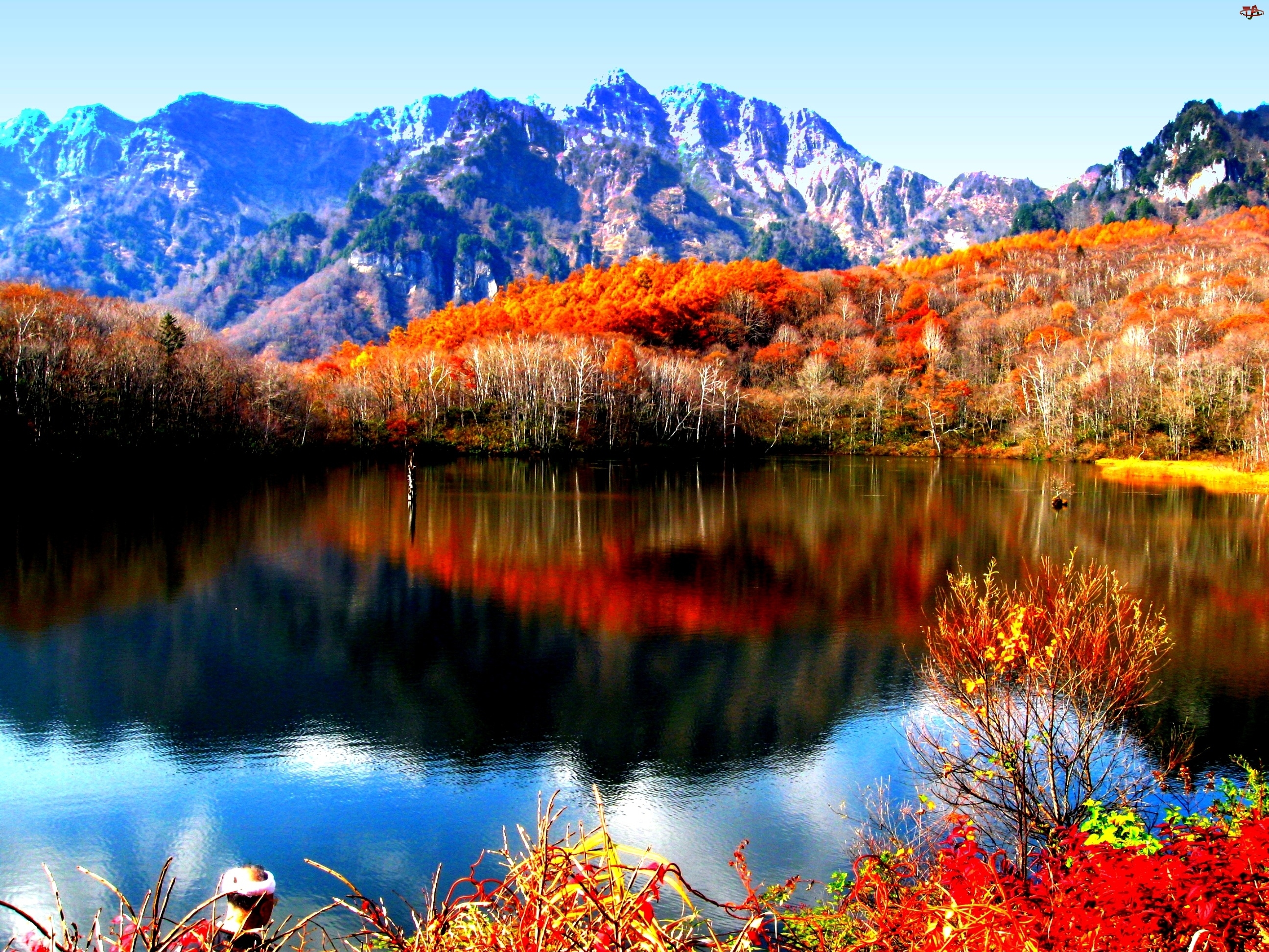 Jesień, Góry, Drzewa, Kolorowe, Jezioro