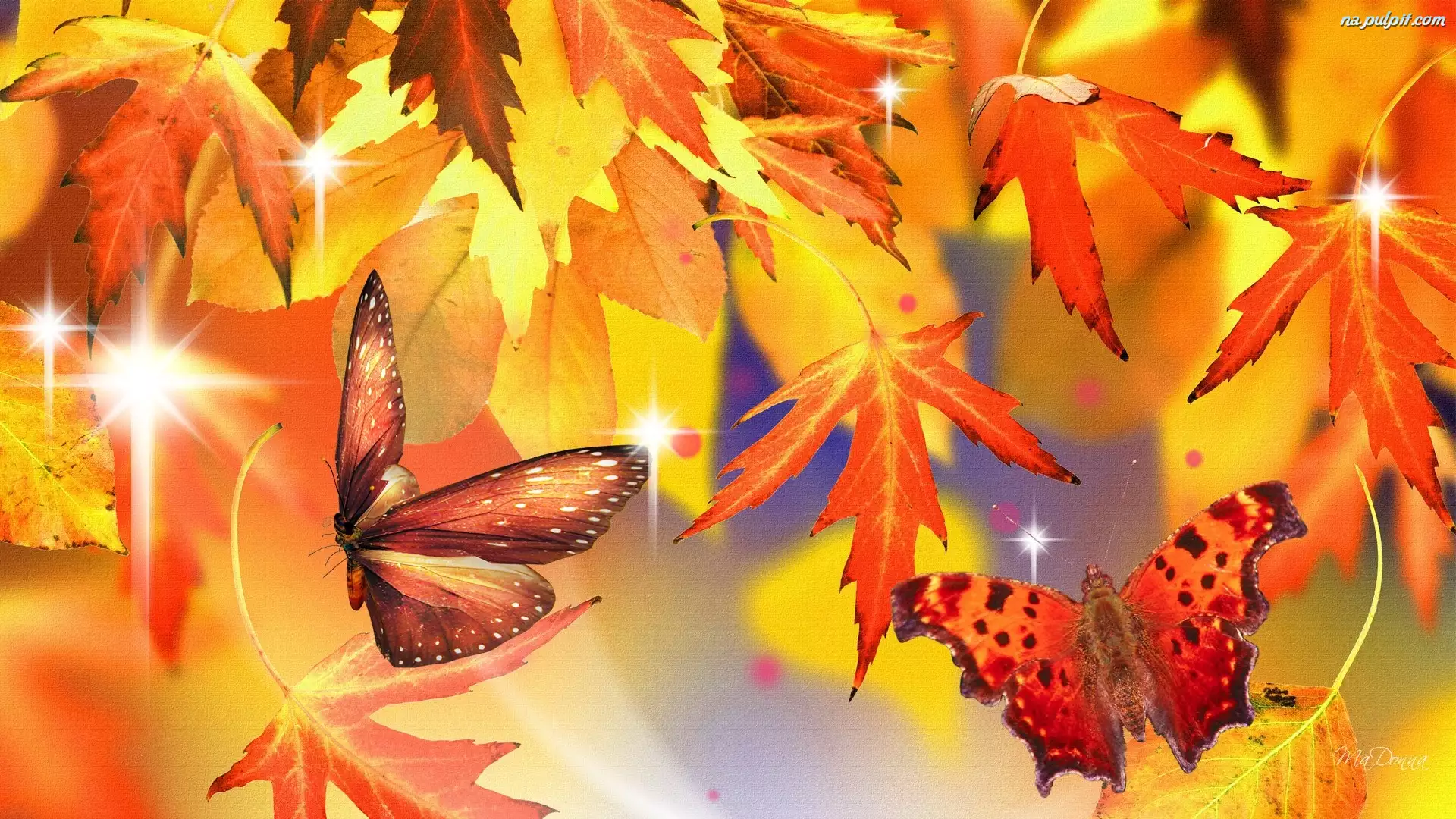Motyle, Czerwono, Liście, Żółte, Jesień