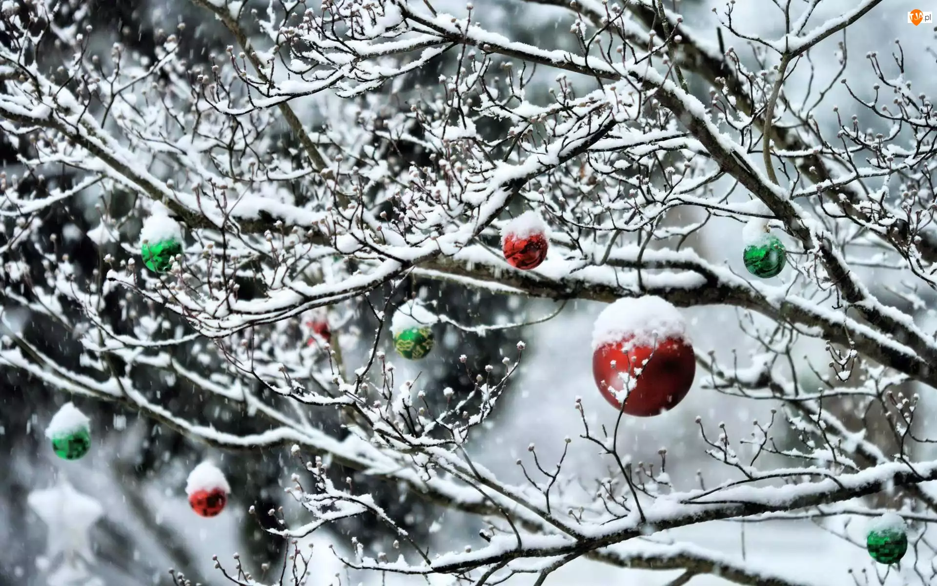 Zima, Ośnieżone, Bombki, Drzewo, Świąteczne