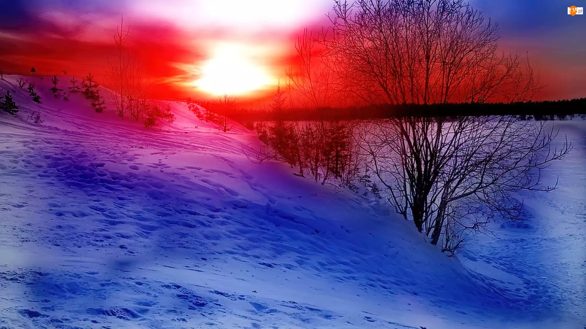Zima, Zachody Słońca, Niebo, Kolorowe, Drzewo