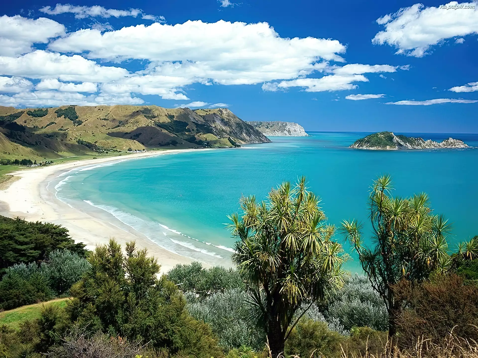 Wysepka, Nowa Zelandia, Plaża, Morze, Roślinność