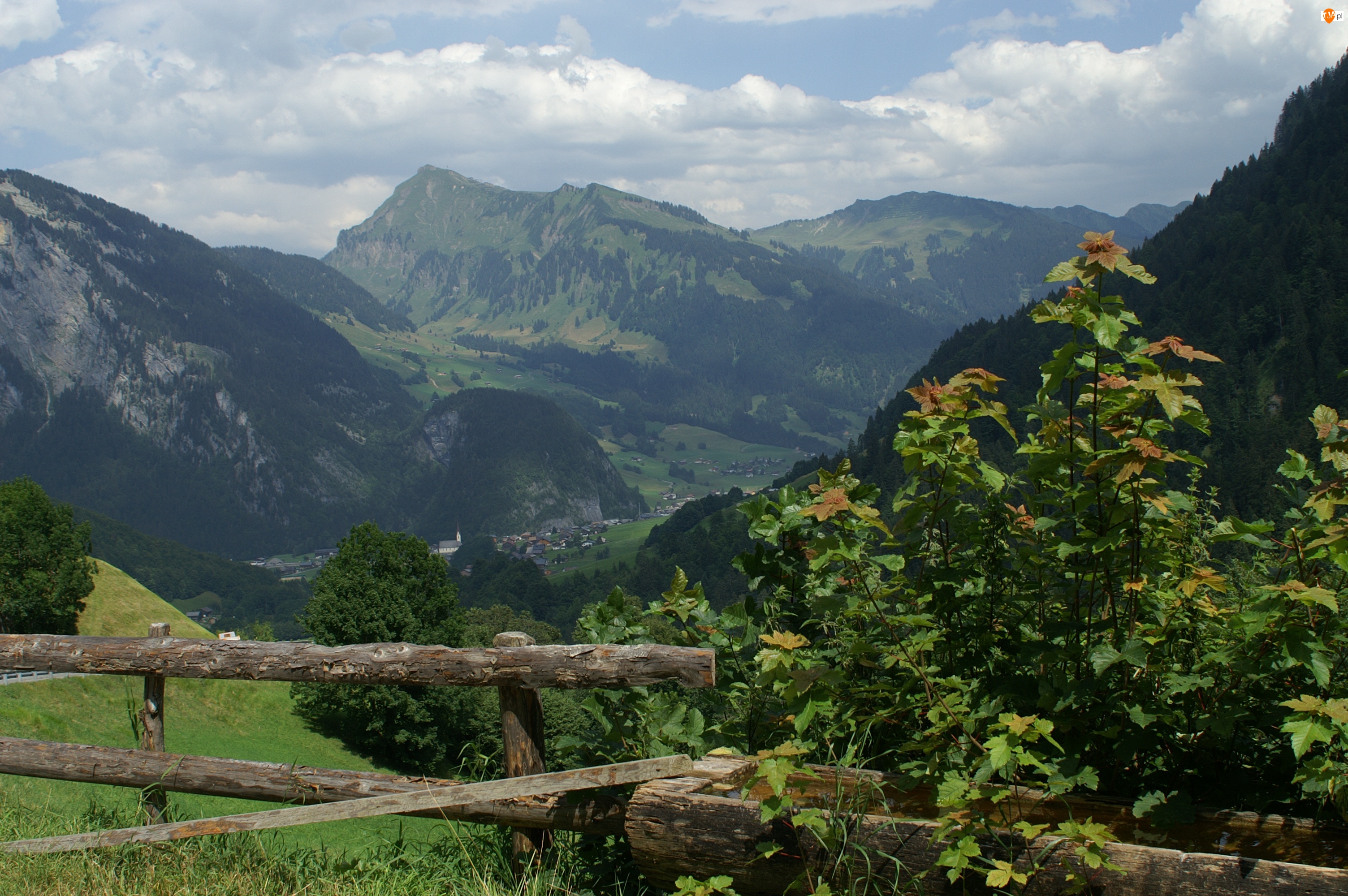 Au Vorarlberg, Rośliny, Austria, Zagroda