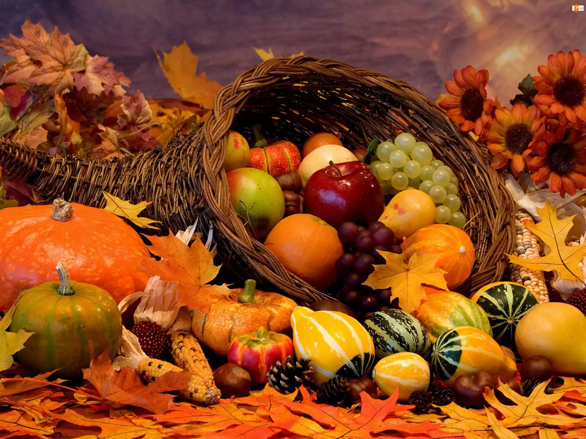 Owoce, Dary, Jesieni