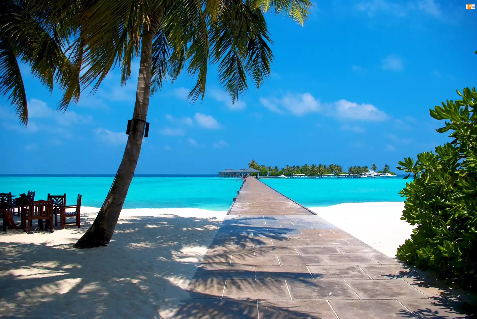 Malediwy, Morze, Plaża, Palmy