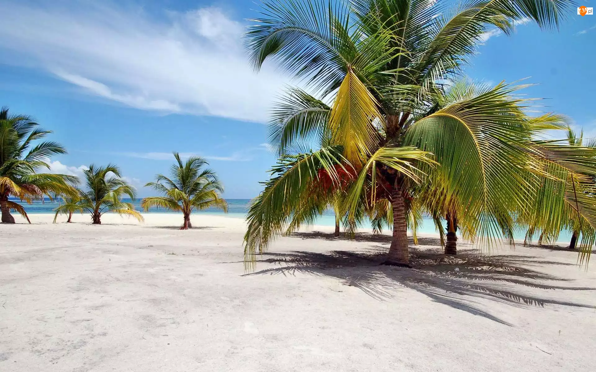 Dominikana, Ocean, Palmy, Plaża, Wyspa