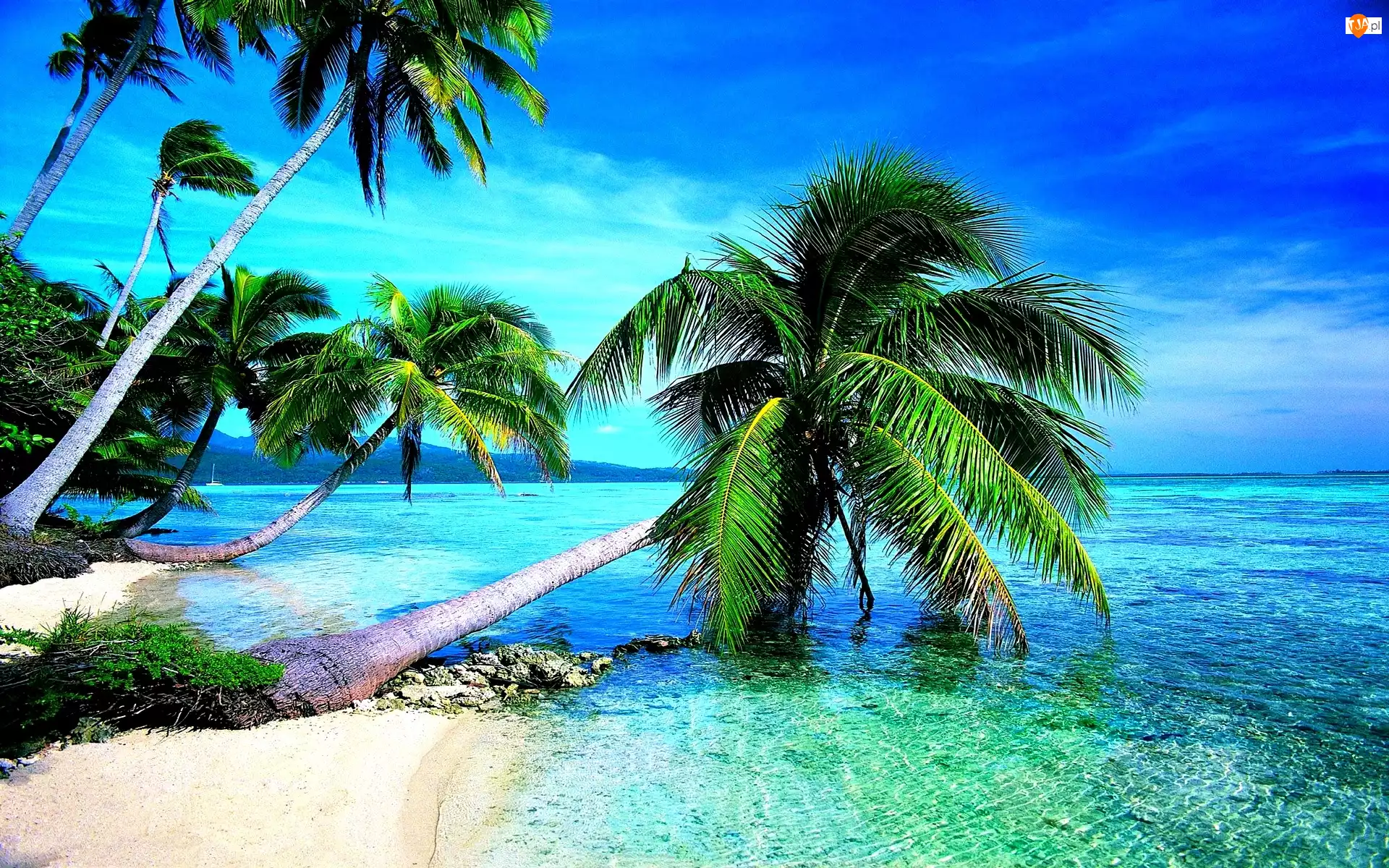 Tropiki, Palmy, Morze, Plaża