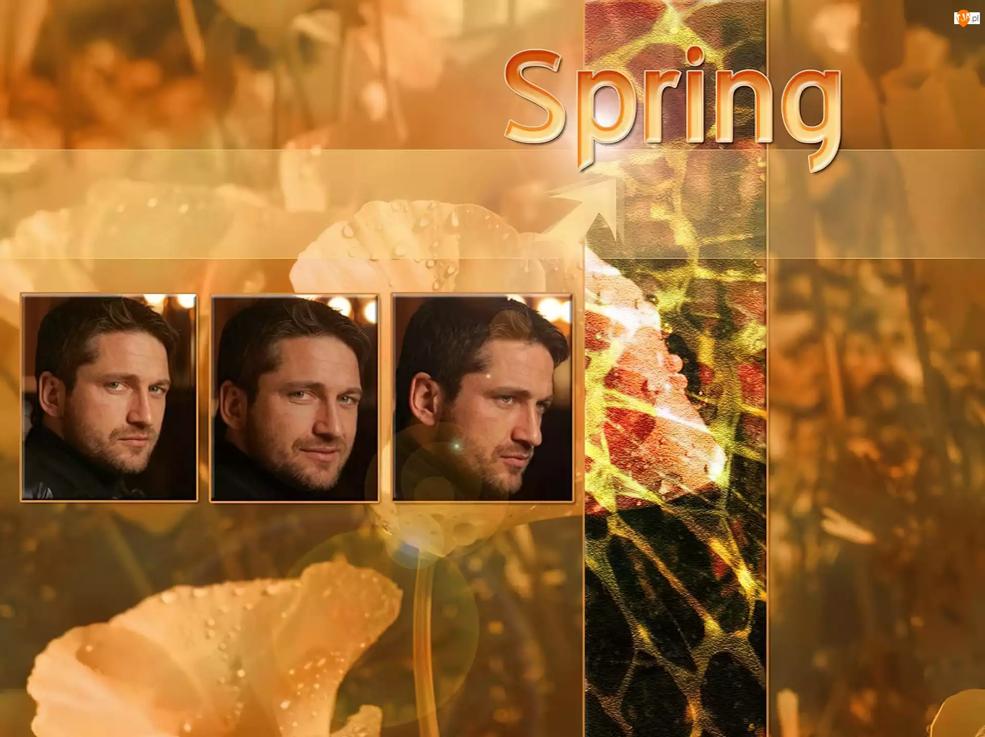 wiosna, Gerard Butler, spring
