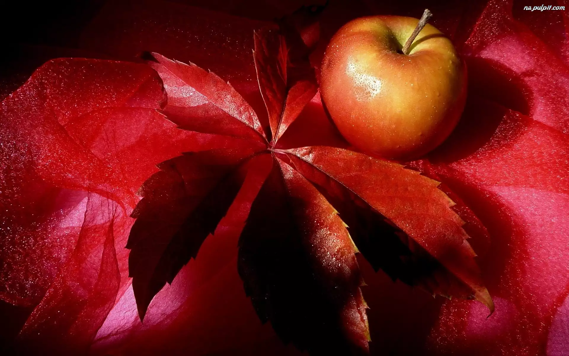 Liść, Jabłko, Czerwony