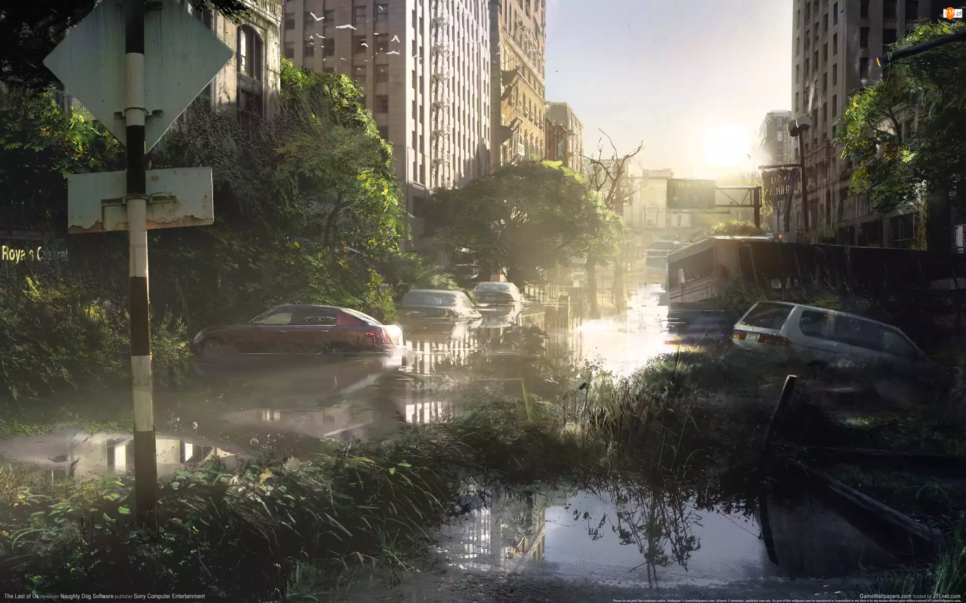 Miasto, The Last Of Us, Zniszczone