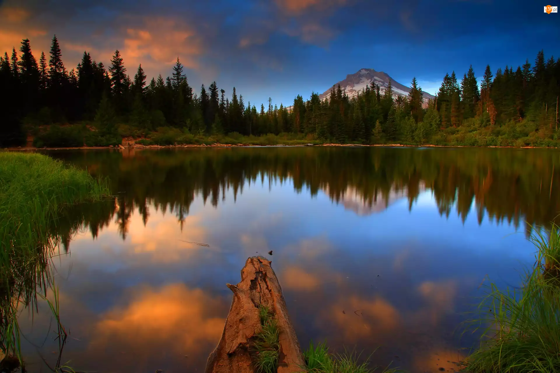 Stan Kalifornia, Stany Zjednoczone, Jezioro Mirror Lake, Odbicie, Park Narodowy Yosemite, Las