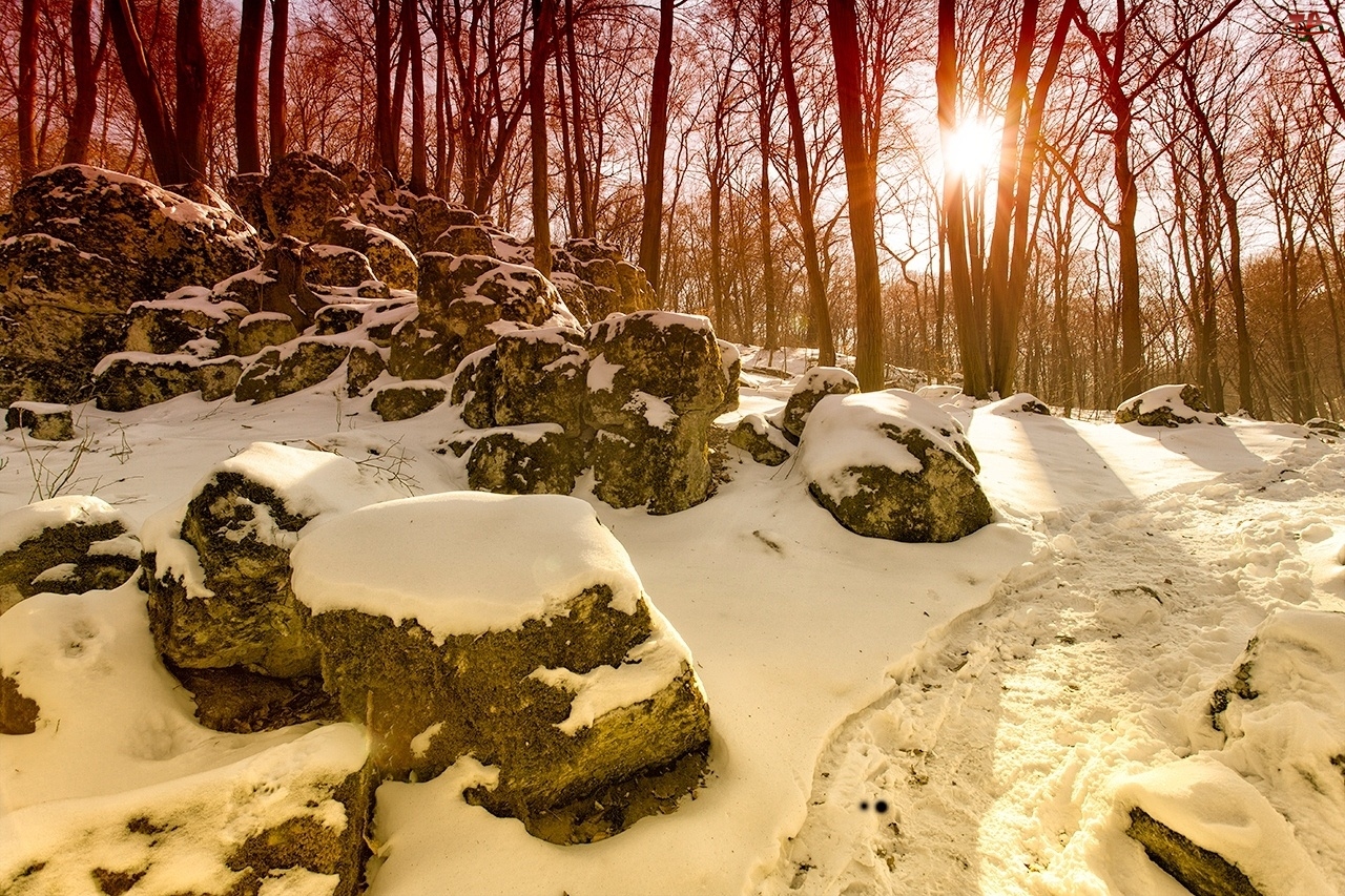 Kamienie, Snieg, Drzewa, Słońce