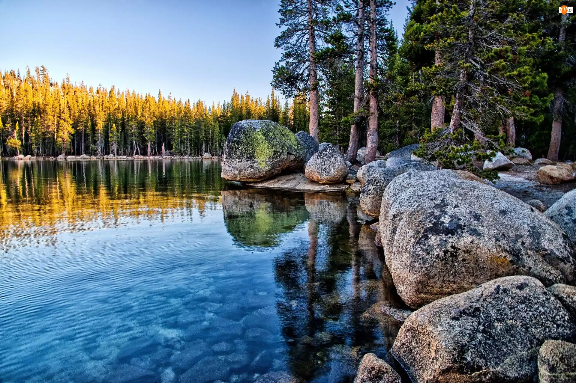 Las, Kalifornia, Jezioro Tenaya, Yosemite Park Narodowy
