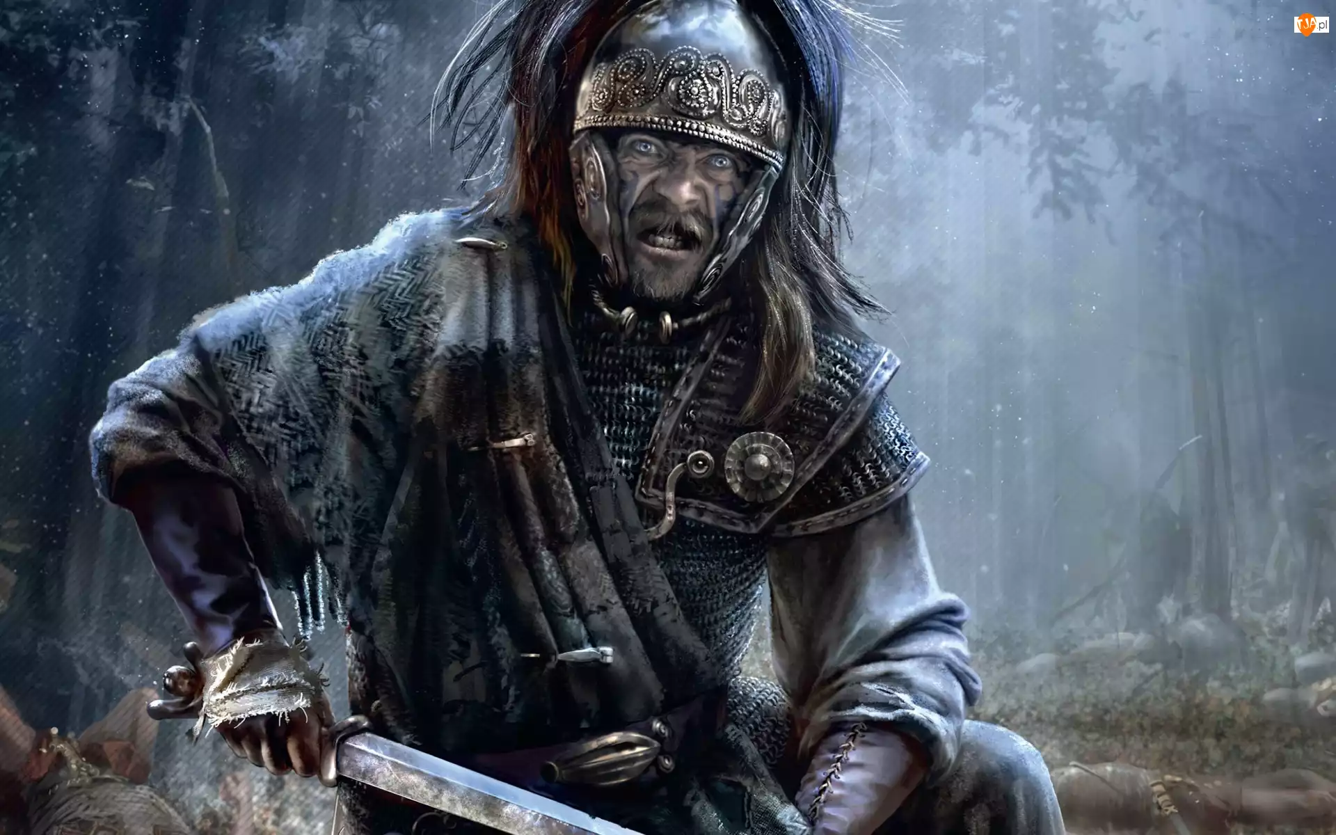 Żółnierz, Rome II Total War