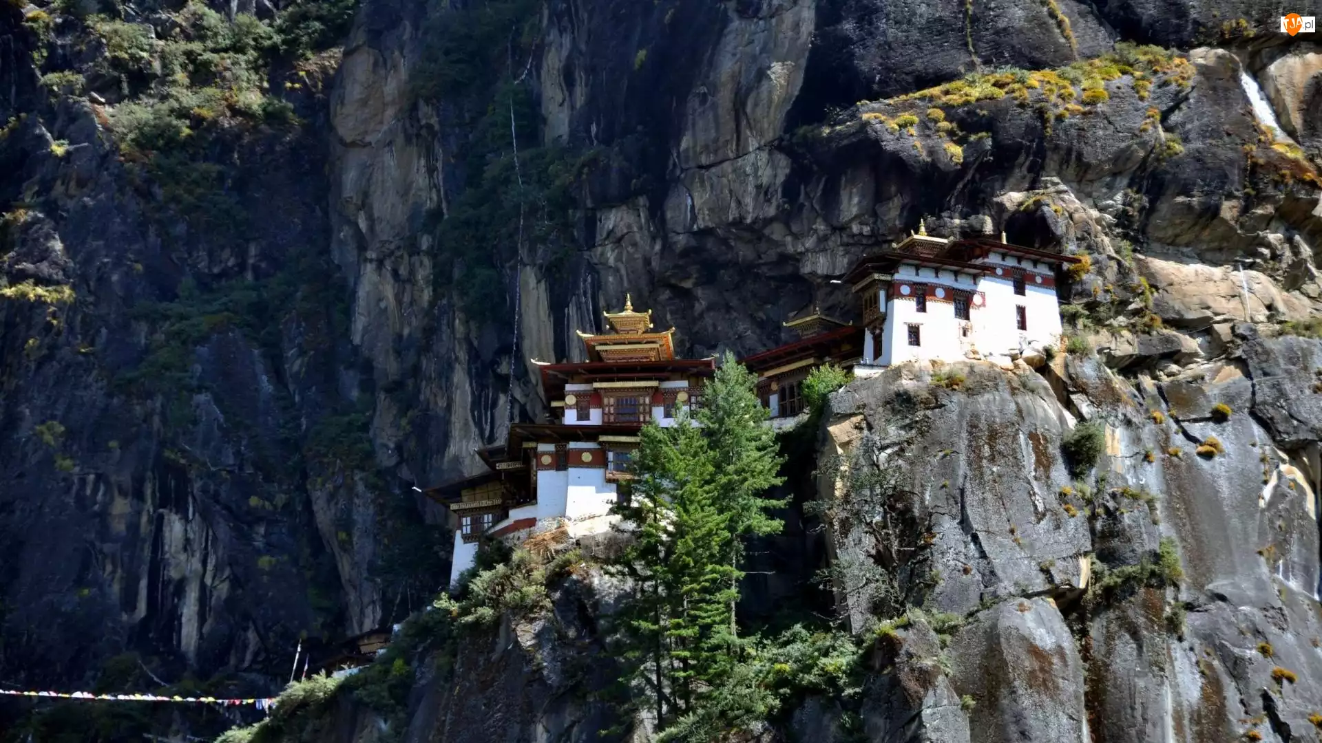 Skały, Azja, Paro Taktsang, Świątynia, Bhutan