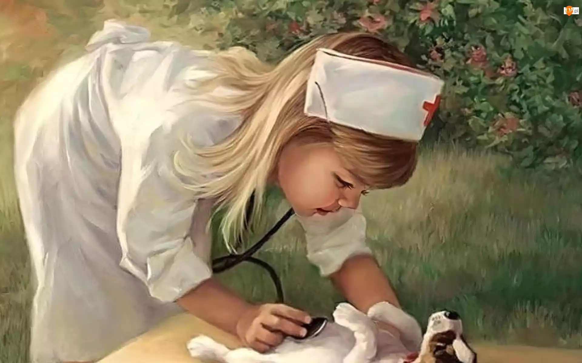 Szczeniak, Pielęgniarka, Pies, Dziewczyna, Stetoskop