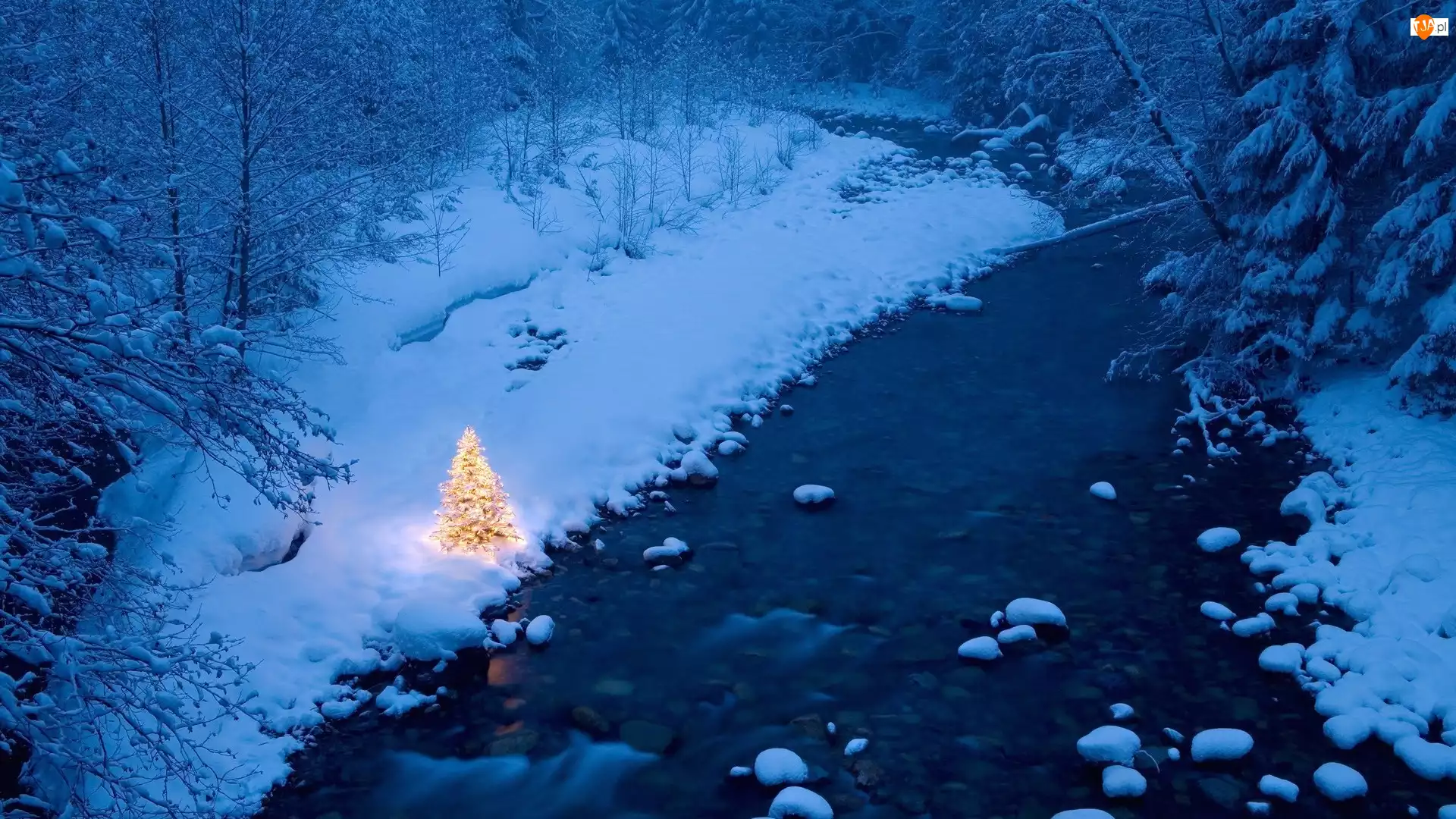 Las, Boże Narodzenie, Rzeka, Zima, Choinka