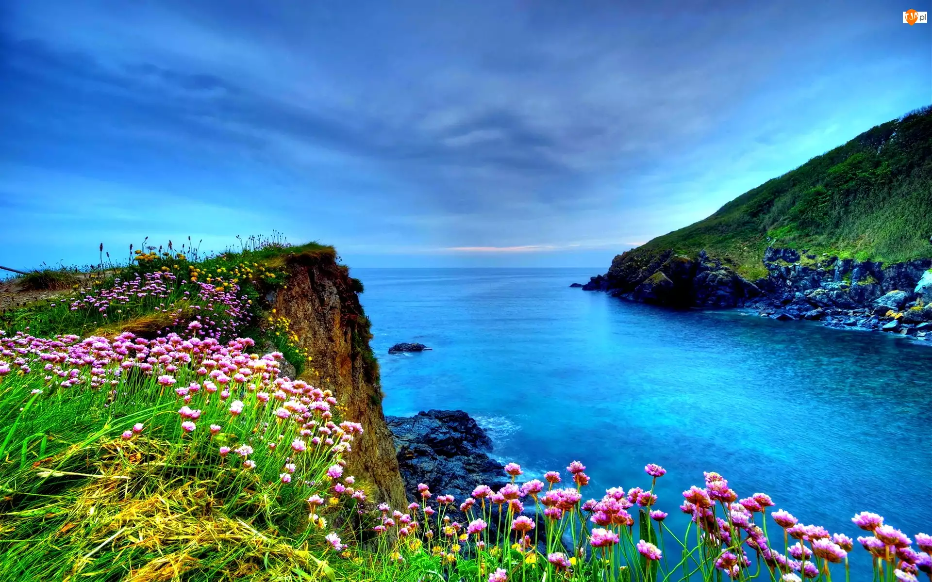 Kwiatki, Morze, Wybrzeże
