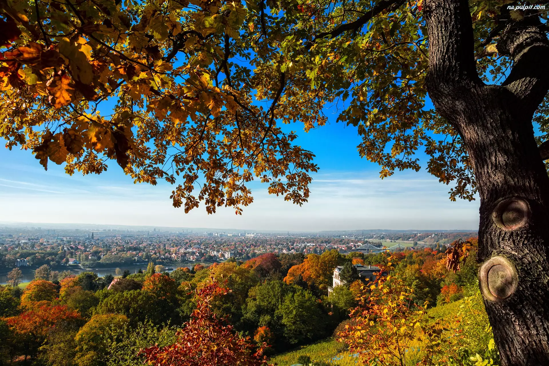 Jesień, Miasta, Drzewo, Panorama