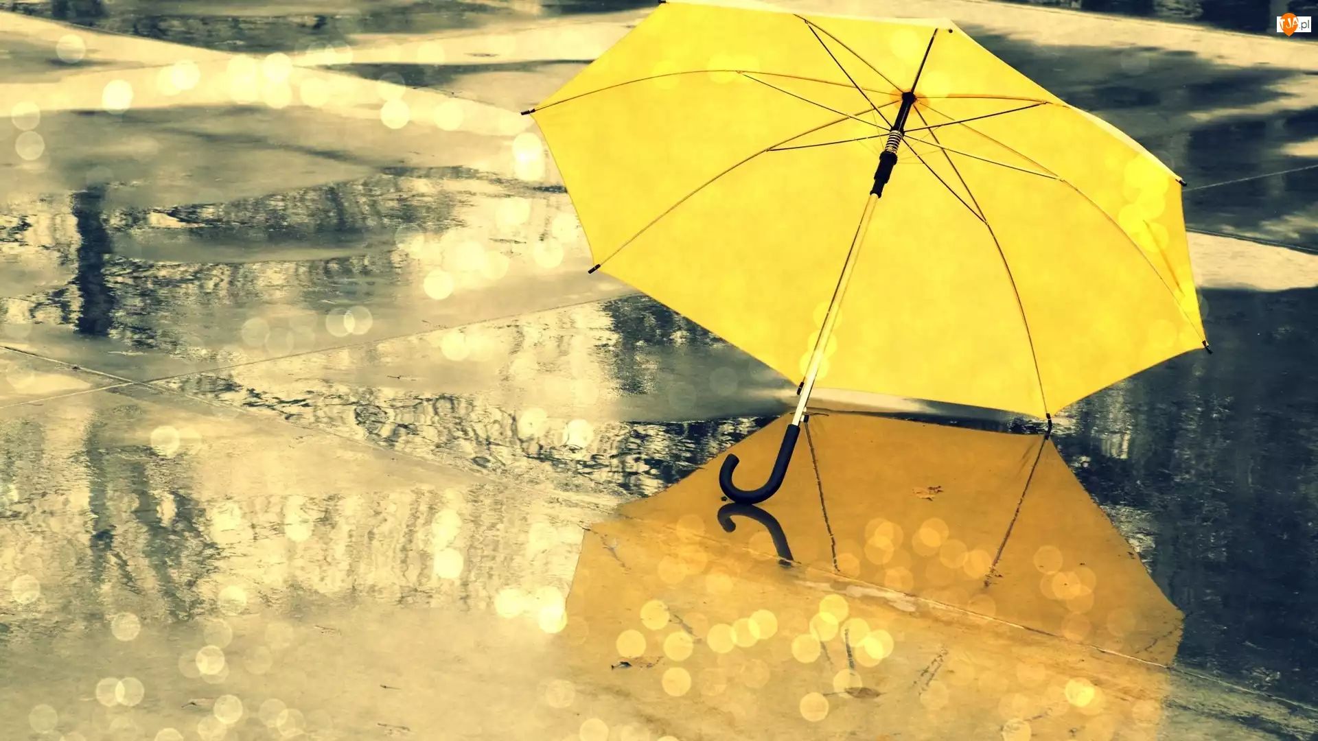 Parasolka, Deszcz, Żółta