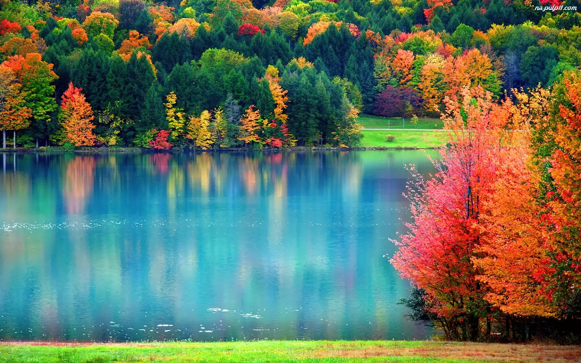 Woda, Jesień, Odbicie, Kolorowe, Las, Liście