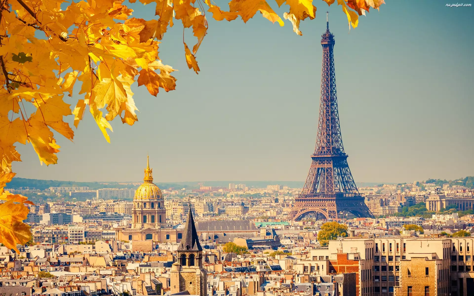 Jesień, Wieża, Paryż, Eiffla, Panorama