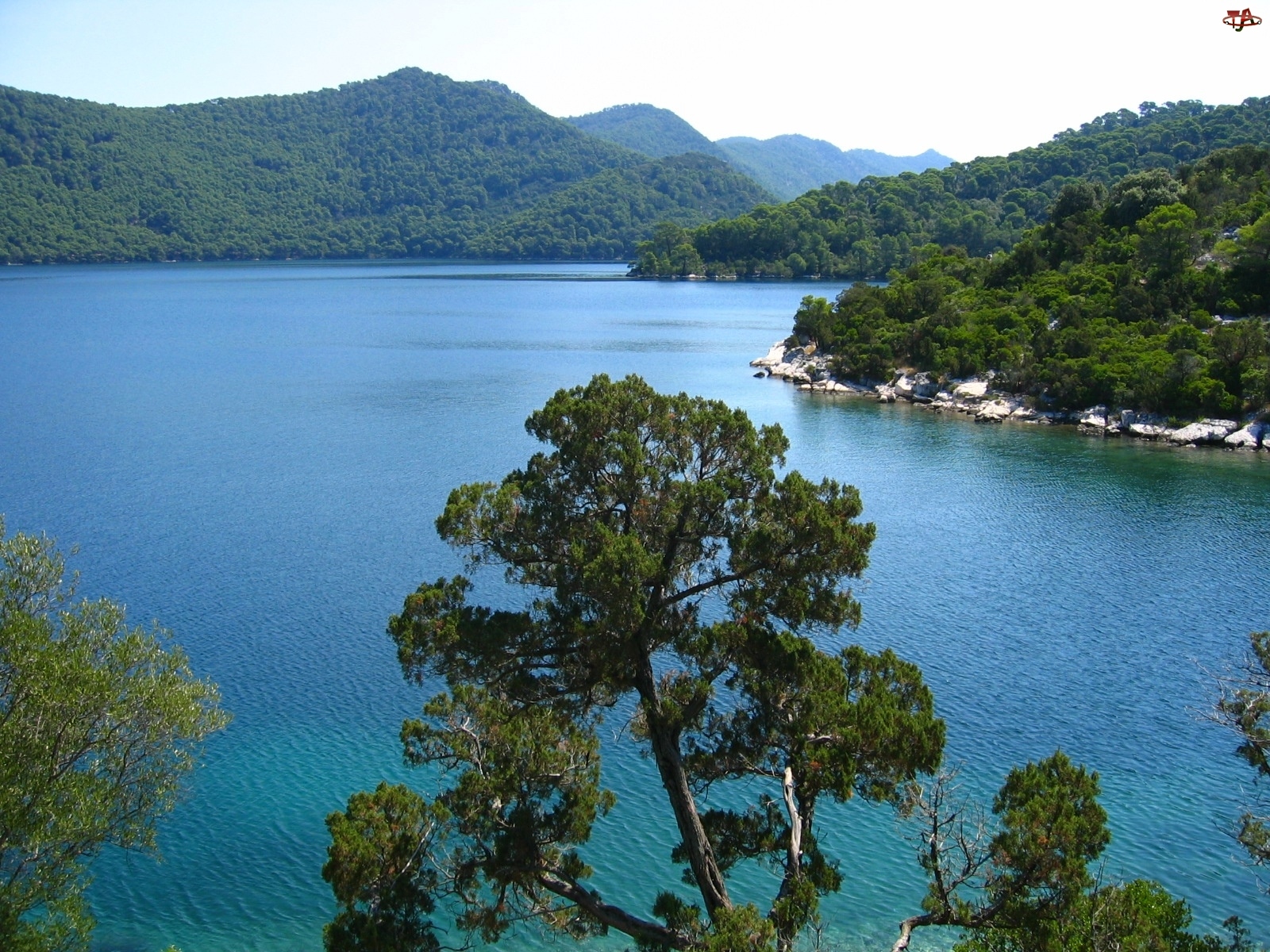 Jezioro, Chorwacja, Góry, Lasy
