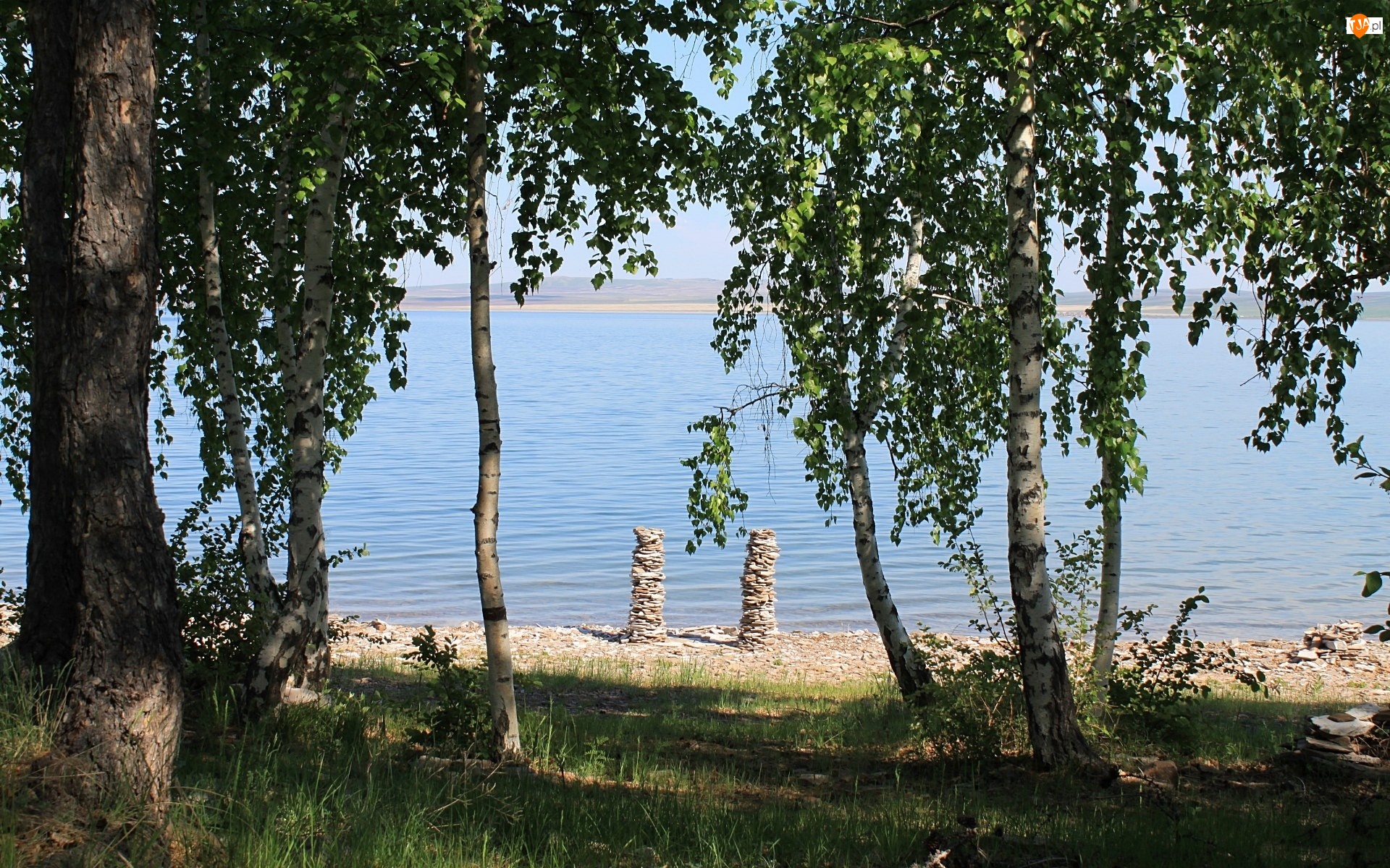 Jezioro, Drzewa, Kamienisty, Brzeg