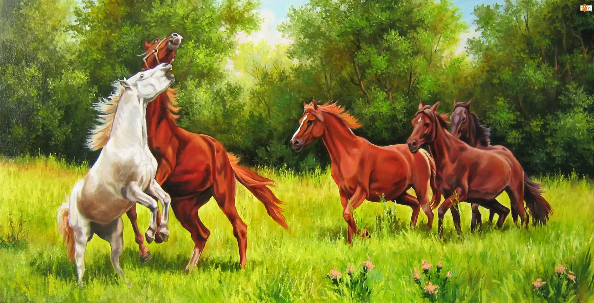Konie, Natalie Portman, Łąka, Drzewa