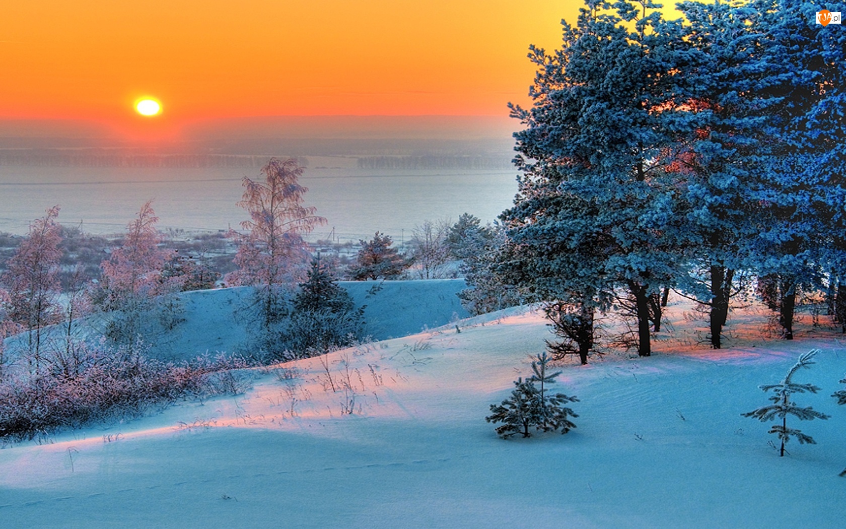 Zachód Słońca, Zima, Drzewa