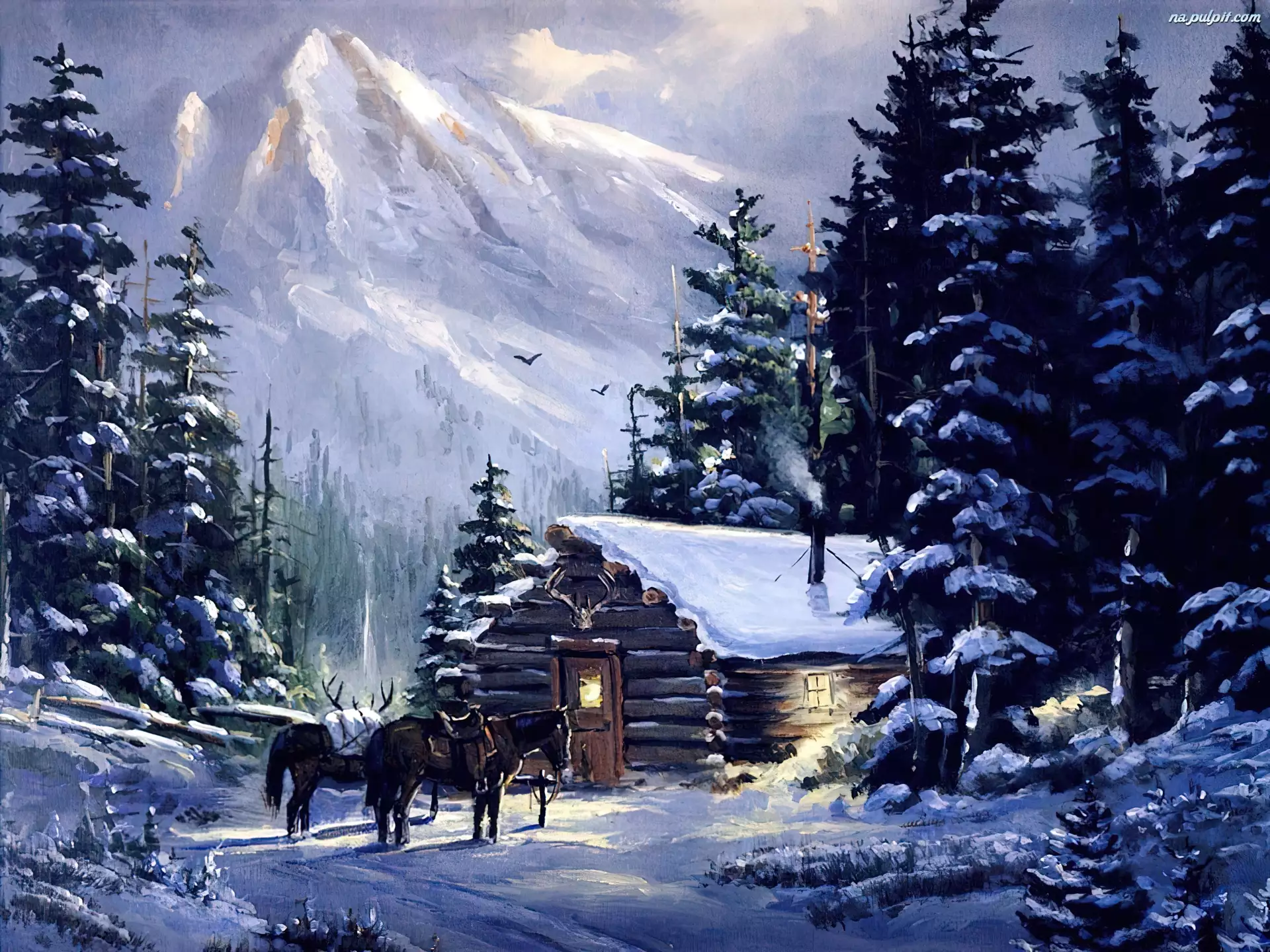 Dom, Drzewa, Konie, Zima, Góry