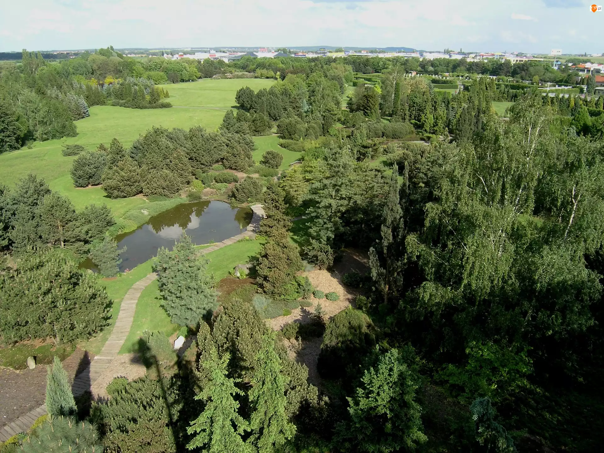 Panorama, Park, Dendrologiczny