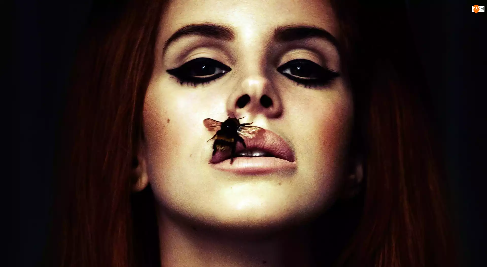 Pszczoła, Lana Del Rey