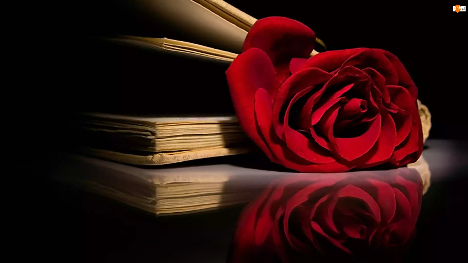 Czerwona, Kompozycja, Róża, Książki