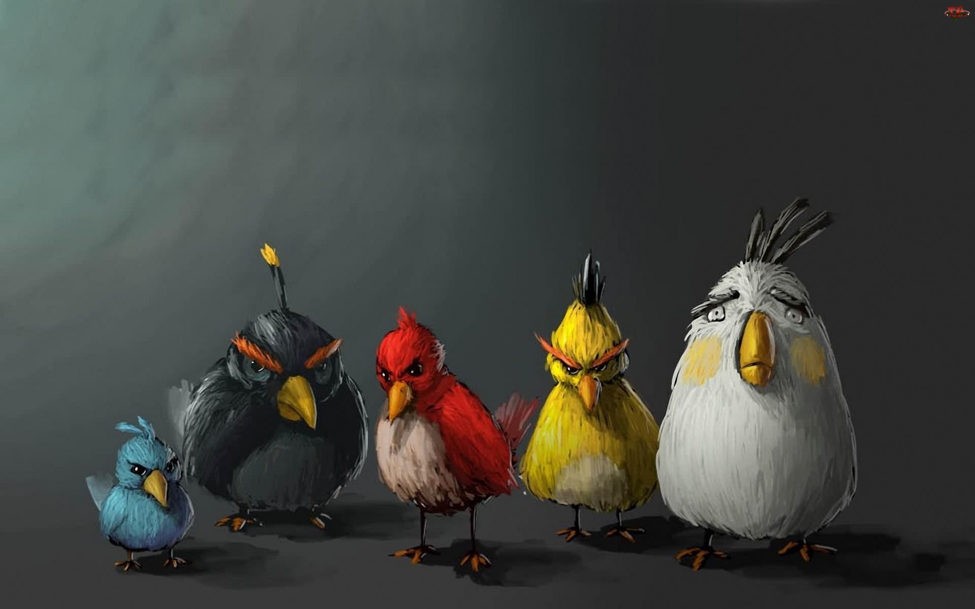 Ptaki, Angry birds