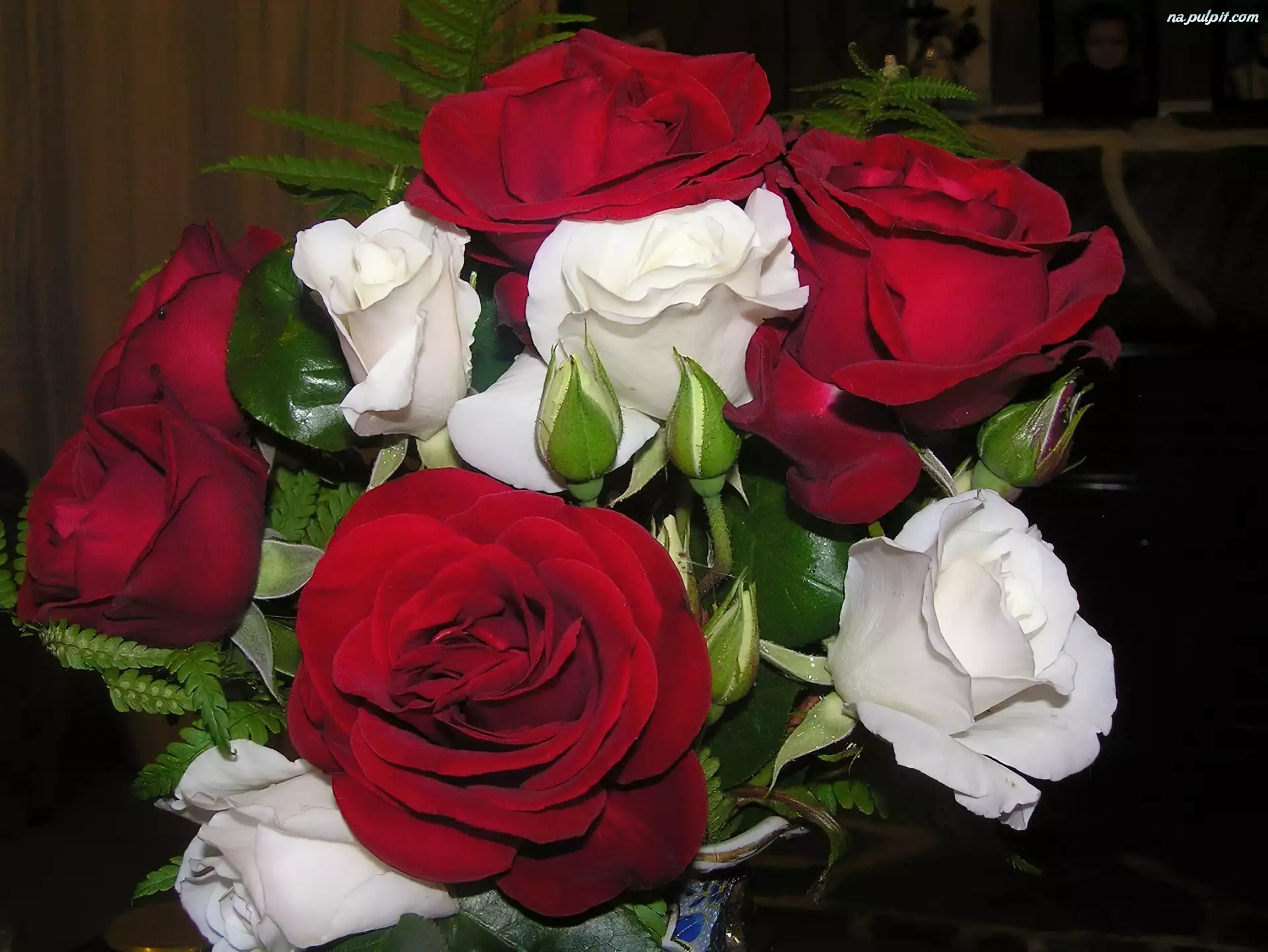 Róż, Bukiet, Czerwono, Białych