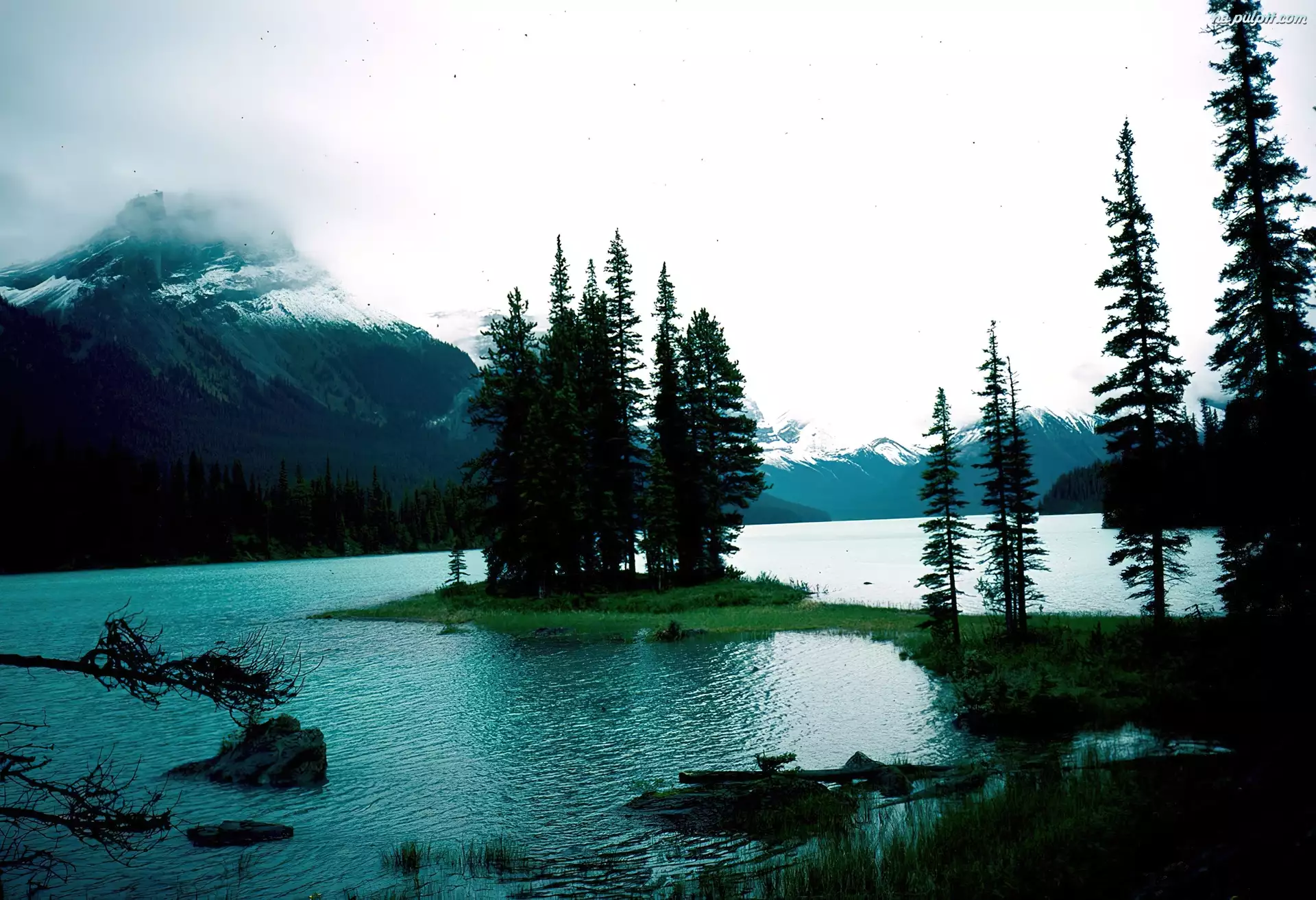 Góry, Alberta, Wysepka, Jezioro, Drzewa