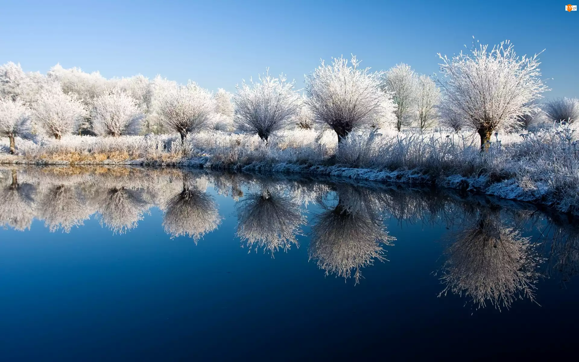 Zima, Niebo, Drzewa, Jezioro