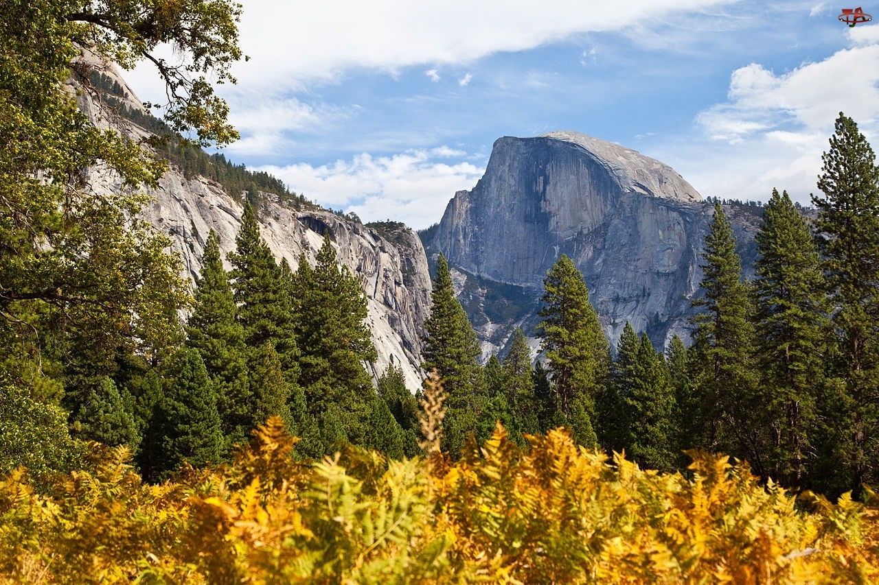 Kalifornia, Jesień, Drzewa, Góry, Yosemite