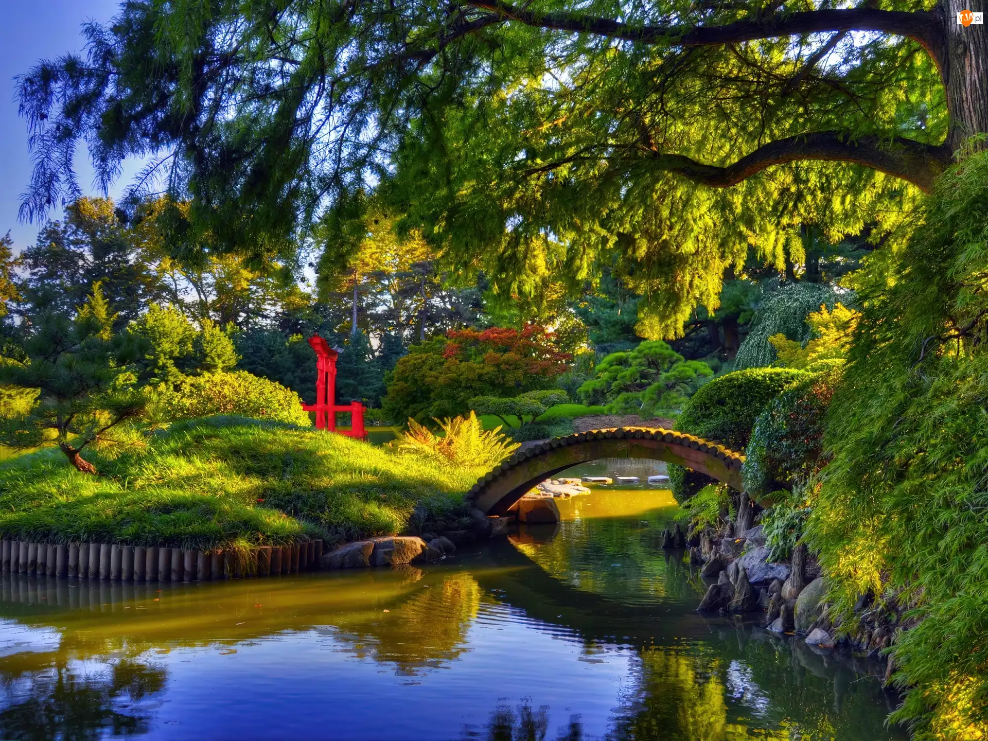 Ogród, Japoński