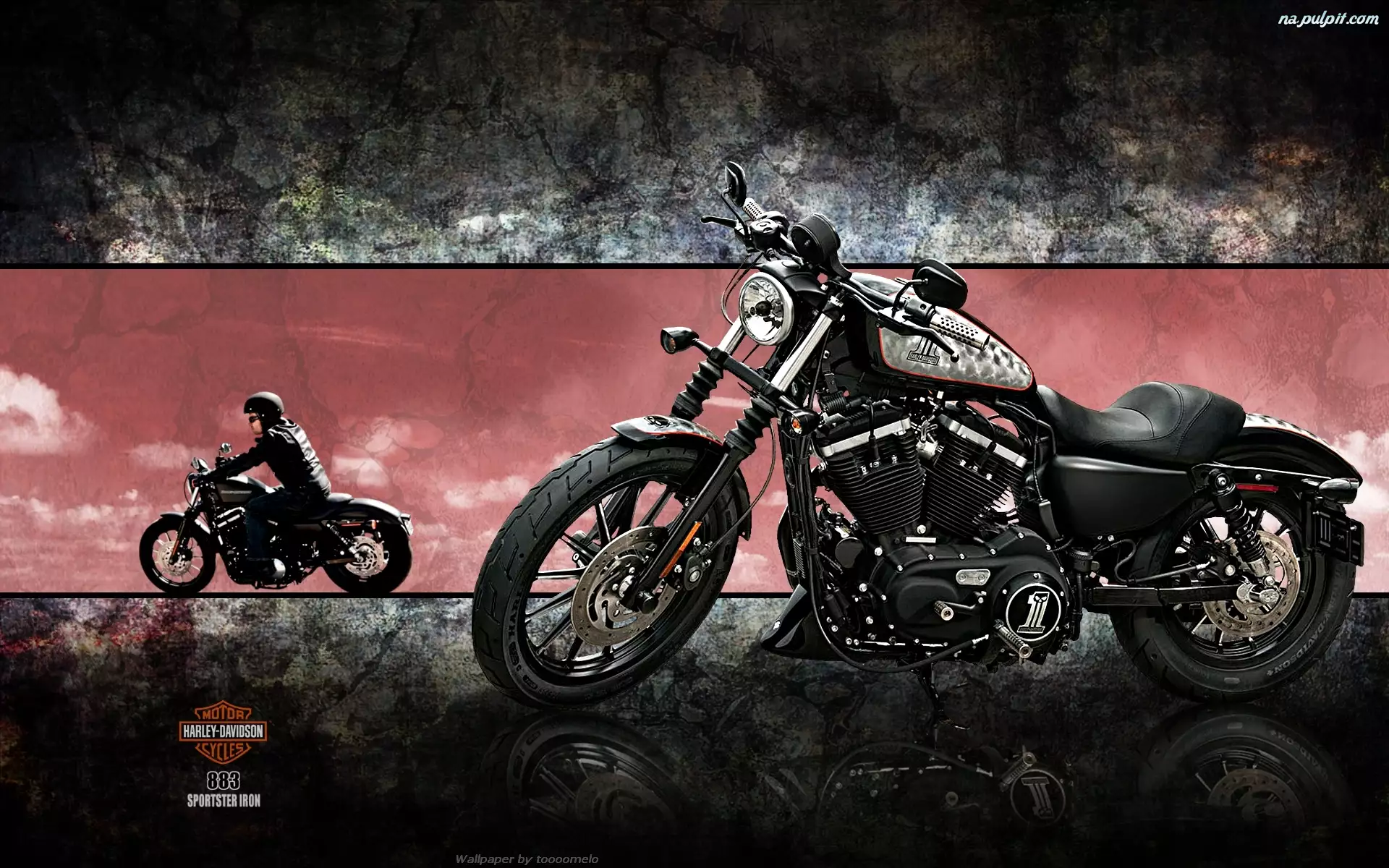 Motocyklista, Harley-Davidson XL883N Iron, Motocykl