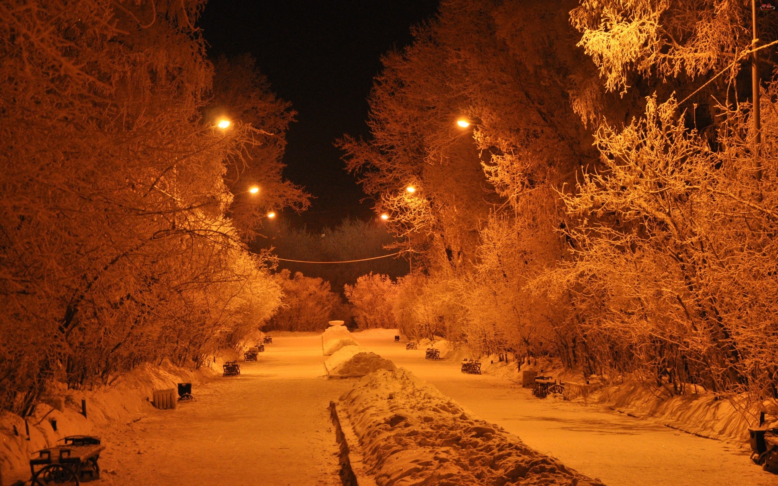 Zima, Park, Drzewa, Latarnie